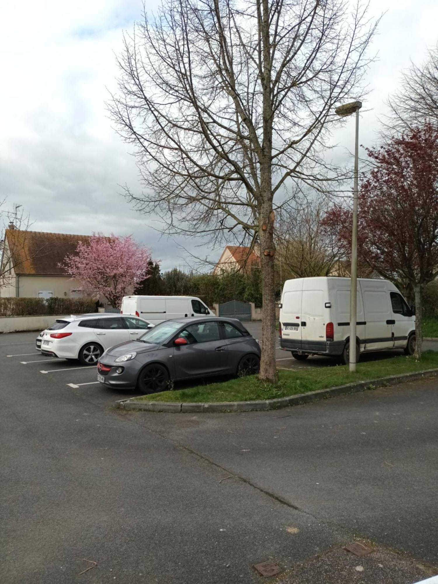 Confort Accommodatie bij particulieren *